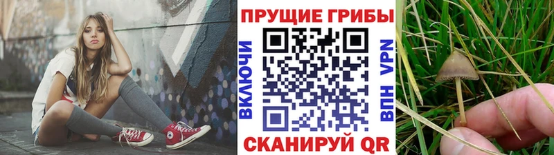 Псилоцибиновые грибы мухоморы Вихоревка