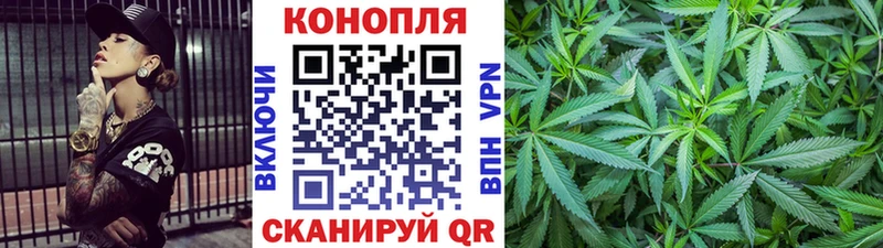 как найти закладки  Вихоревка  Конопля сатива 